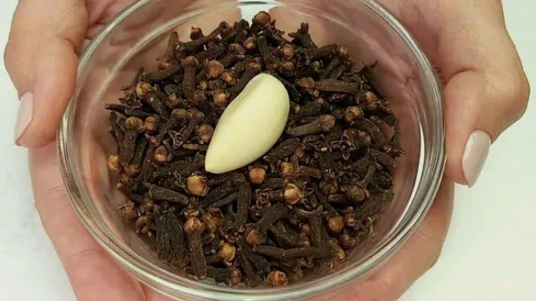Clove essential oil — natural AegisHome ingredient